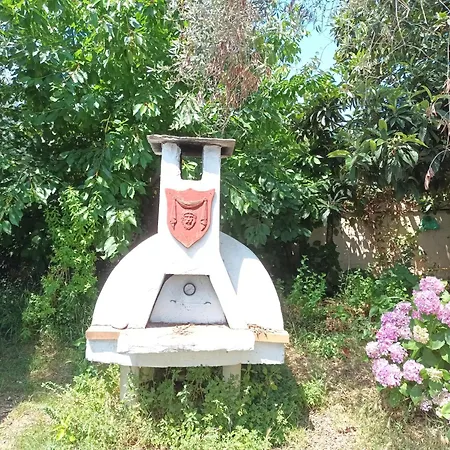 George 克里斯阿穆迪亚