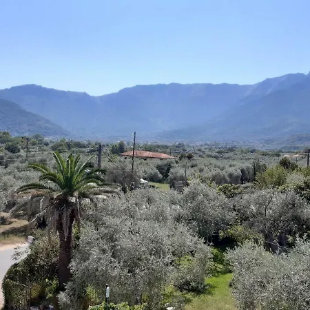 George * 克里斯阿穆迪亚