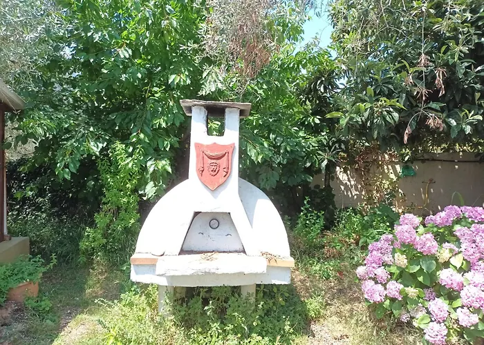 George クリッシ・アモウディア