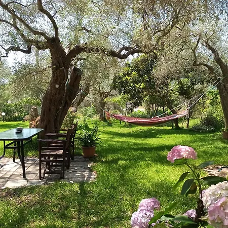 George * Chrisi Ammoudia