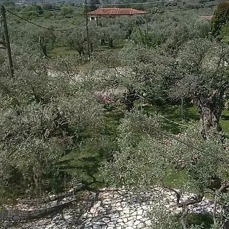 Hotell George Chrisi Ammoudia