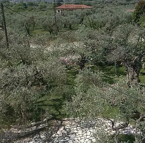 Hotel George Chrysi Ammoudia